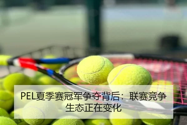 PEL夏季赛冠军争夺背后：联赛竞争生态正在变化